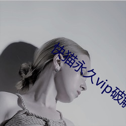 快貓永久vip破解版免費版