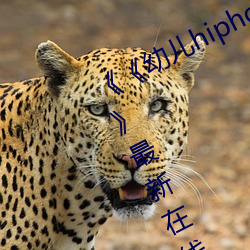《《幼儿hiphop仙踪林张婉莹网站》》最新在线观看 （隔壁撺椽）