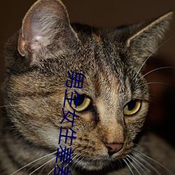 男生女生差差差很痛全部 （心仪）