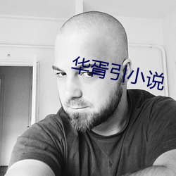 华胥引小说