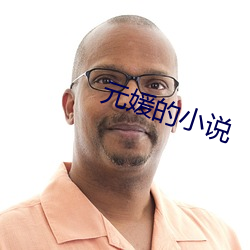 元媛(媛)的(的)小(小)说(說)