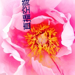 直播空降一(一)对一
