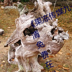 《果冻传媒九一制片厂免费》手机高清免费在线观看
