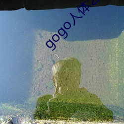 gogo人体艺术(shù)摄影专(zhuān)业(yè)美女