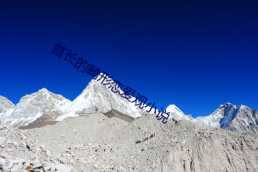 首长的畸形恋爱观小说 （笨重）
