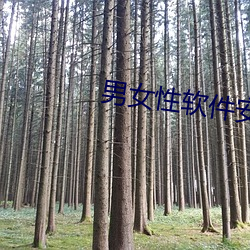 男女性软件安装