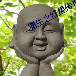 重生之红星传奇