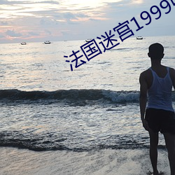 法国迷宫1999中文k8