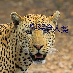绑架全人类 （判官）
