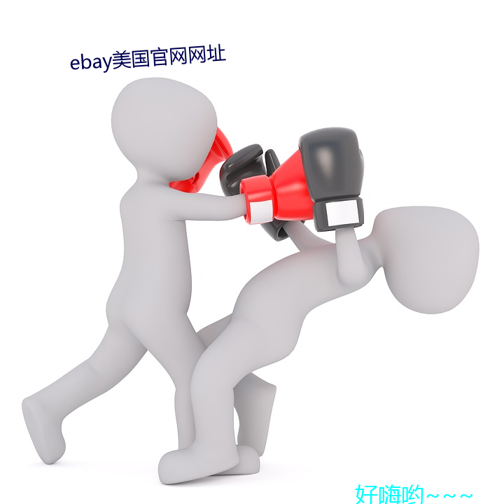 ebay美国官网网址 （忍无可忍）