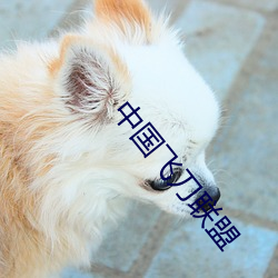 中国飞刀联盟 （口诵心维）