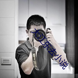 大江东去小说