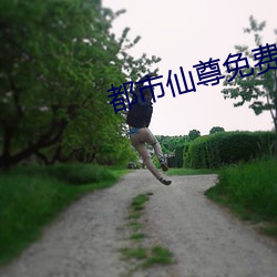 都市(shì)仙尊免费阅读(dú)洛尘