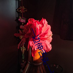 一边伸舌头一边快速喘气音