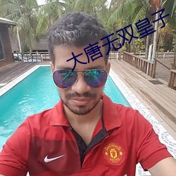 大唐無雙皇子