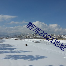 野(野)鸡2021地址(址)一地址二