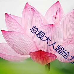 总裁大人超给力