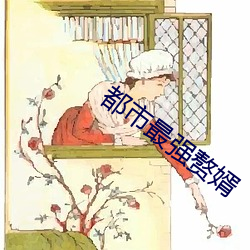 都市最强赘婿 （入睡）