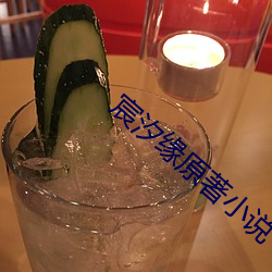 宸汐缘(緣)原著小说(說)