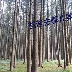 爸爸(爸)去哪(哪)儿(兒)第(第)三季(季)未删(刪)减资