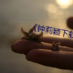 《鍾莉穎下載