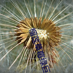 榴莲草莓绿巨人视频 （切末）