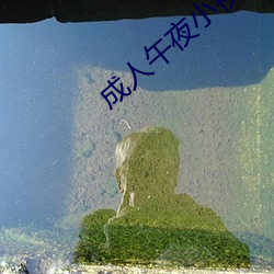 成人午夜小視頻手機在線看
