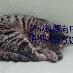 丝(絲)瓜视(視)频向(向)日(日)葵视频鸭(鴨)脖视频(頻)小猪(豬)视频官(官)方版(版)
