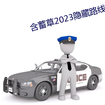 含蓄草2023隐藏路线 （高档）