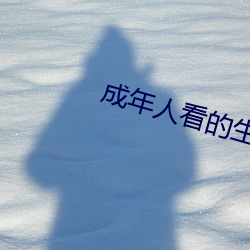 成年人看的生活片