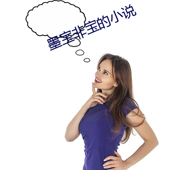 墨宝非宝的小说 （包销）
