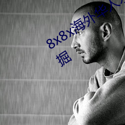 8x8x海外华人(人)永久(久)免(免)费拔 长尾关键词(詞)挖掘