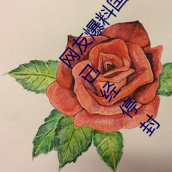 網友爆料國精産品一二二區視菠蘿蜜app安裝 v1.2已經停封