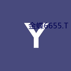 金蝶6655.T