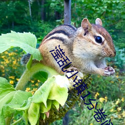 滢乱小镇1分卷阅读