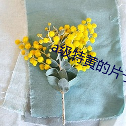 凯时|AG(AsiaGaming)优质运营商