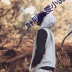 葉辰肖雯小說