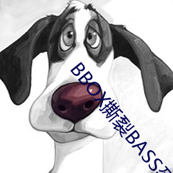 BBOX撕裂BASS孕婦公交車