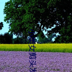 小美女剪(jiǎn)头发