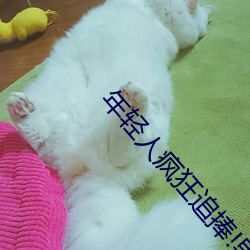 年轻人疯狂追捧!男叉女动态图为何如此火爆?