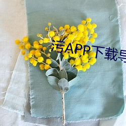 污APP下(xià)载导航