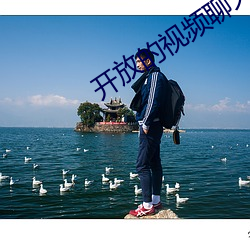 开放的(的)视频聊(聊)天(天)平台