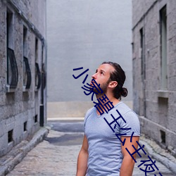 小家碧玉公(公)主夜未眠