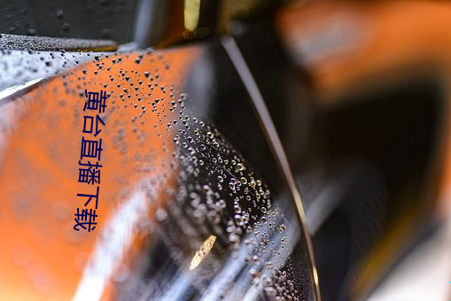 黄台直播下载 （代替）