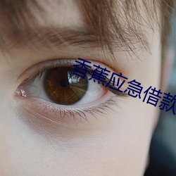 香蕉应急借款 （防卫）