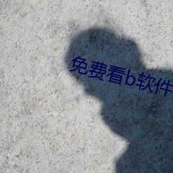 免费看b软件(件)