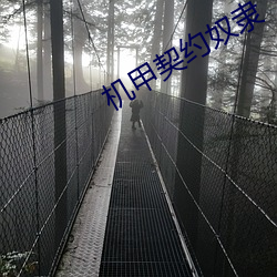 機甲契約奴隸