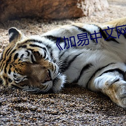 《加易中文網》