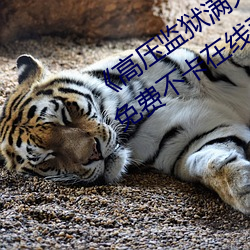 《高压监狱满天星(xīng)在线完整免(miǎn)费高清》免费不卡(kǎ)在线(xiàn)观看