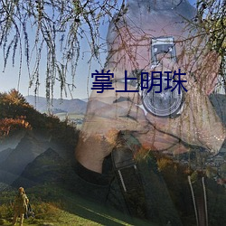 掌上明珠 （转载）